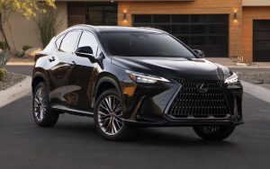 2025 Black Lexus NX