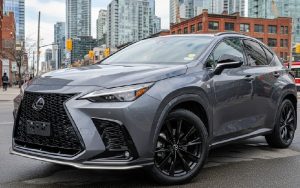 2025 Grey Lexus NX 300 F Sport
