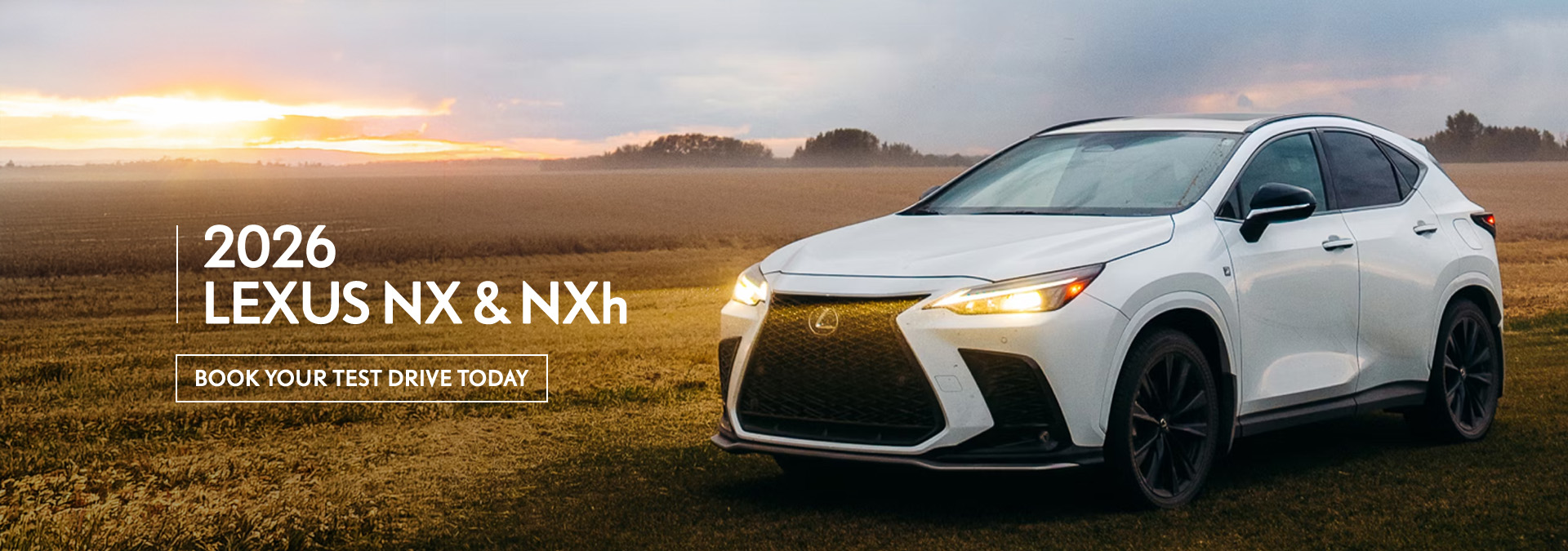 2026 Lexus NX Hero Image