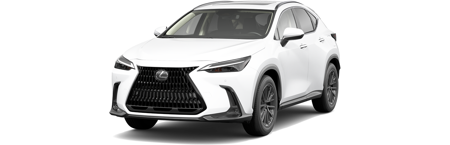 NX 350